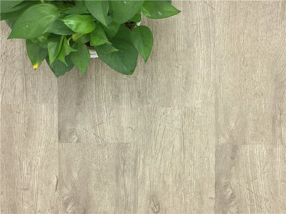 Euro Click Plastic Laminate Flooring